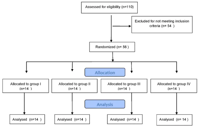 Fig. 1.  CONSORT paticipant flow chart