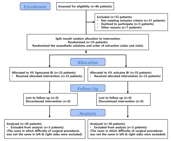 Fig. 1.  CONSORT flow diagram of the study design.