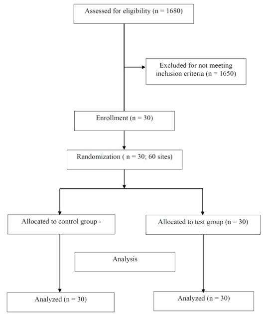 Fig. 1. CONSORT participant flow diagram