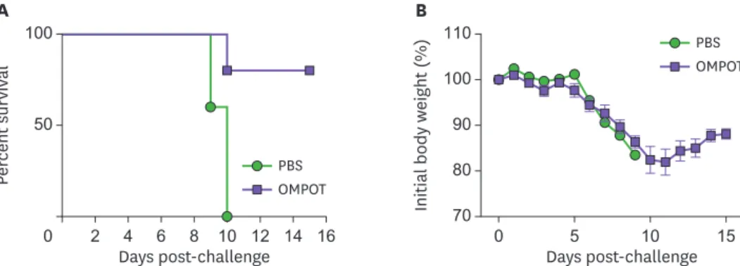 Figure 5. Long-term protective immunity in mice immunized with OMPOT against O. tsutsugamushi lethal infection