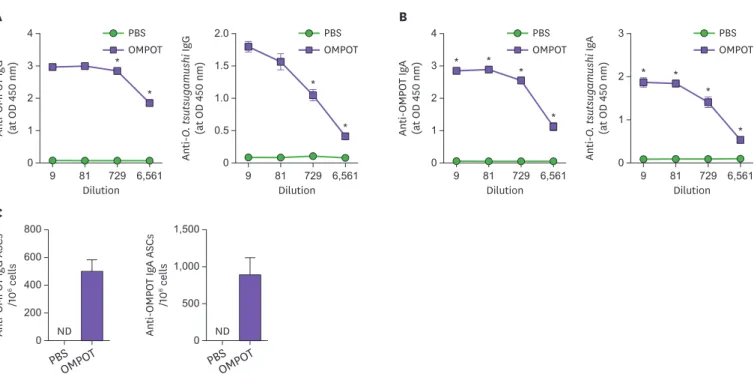 Figure 3. Humoral immune responses in BAL fluid and lungs from mice immunized with OMPOT