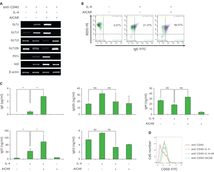 Figure 2. Effect of AICAR on GLTε transcription, surface IgE expression, and IgE production by anti-CD40-stimulated B cells