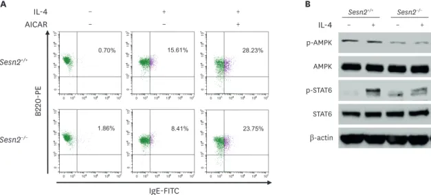Figure 3. Effects of Sesn2 and AICAR on the expression of surface IgE and the activation of STAT6 and AMPK