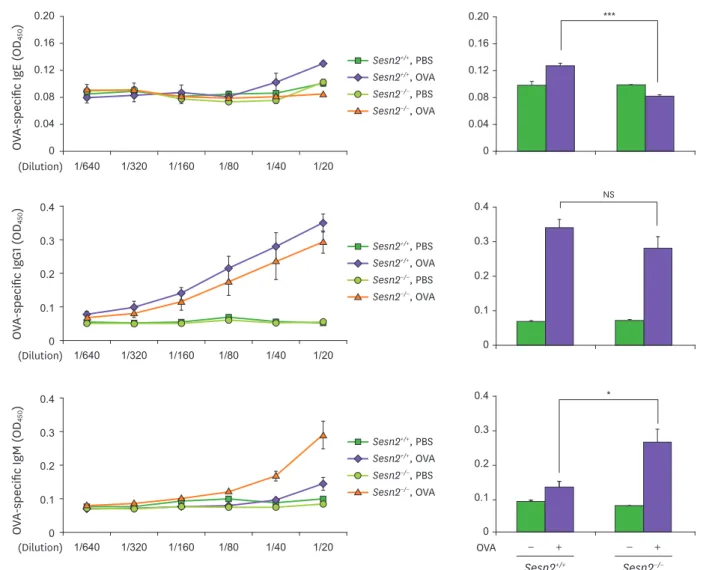 Figure 4. OVA-specific IgE production in serum is reduced in Sesn2 −/−  mice. Sesn2 +/+  and Sesn2 −/−  mice were immunized with OVA following the protocol described  in the Materials and Methods section
