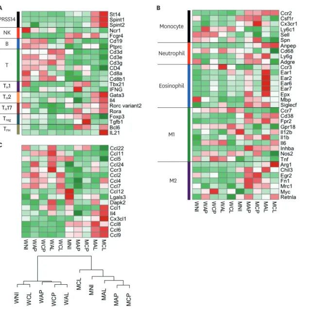 Figure 7. Expression profile analyses of signature genes specific to immune cells and eosinophil chemoattractants