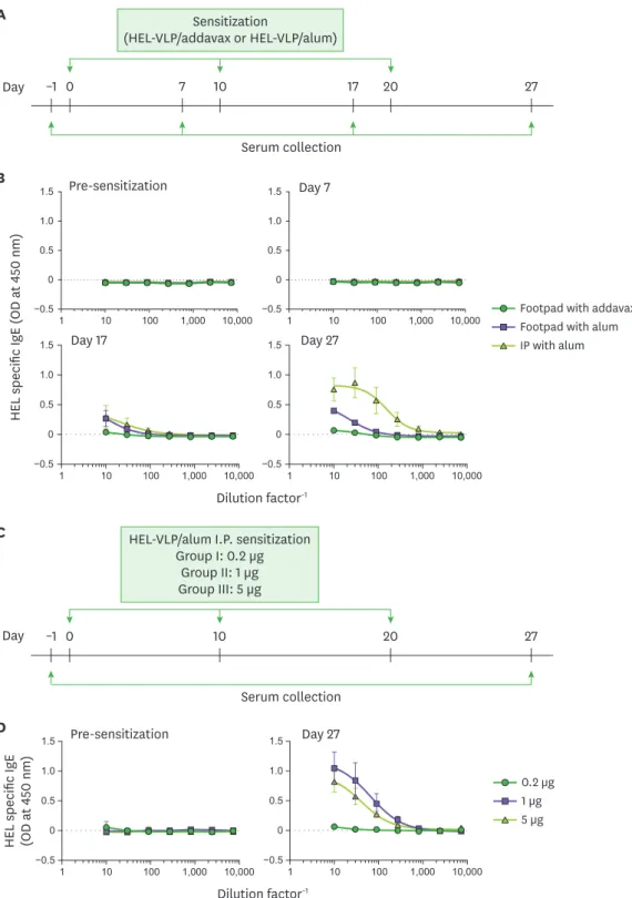 Figure 1. VLP mediated delivery of an antigen elicits antigen specific IgE responses. (A) HEL-VLPs emulsified in either addavax or alum were IP or SC injected  into BALB/c mice at days 0, 10, and 20
