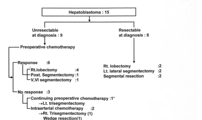 Fig  1.  Clinical  course  of  15  patients  with  hepatoblastoma.  The  5  year  survival  measured  by  Kaplan-Meier  methods  is  92 