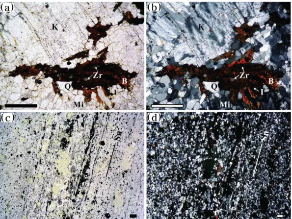 Fig. 4. Microphotographs of microstructures (a, b: No. 342-1, coarse-grained type) before and (c, d: No
