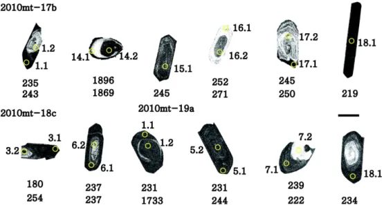 Fig. 3. Representative cathodoluminescence (CL) images for zircon grains from the deformed granite showing locations of analysed spots and their apparent ages in Ma