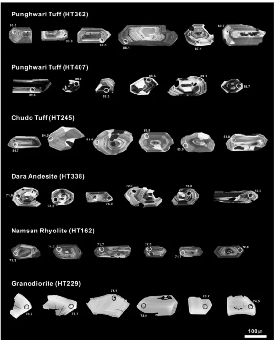 Fig. 3. Representative Cathodoluminescence images of the analysed zircon grains, showing the location of analytical spots and  206 Pb/ 238 U ages in Ma, separated from the Punghwari Tuff (HT362 and HT407), Chudo Tuff (HT245) Dara Andesite (HT338), Namsan R