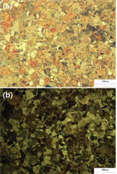 Fig.  3  OM  images  of  (a)  BF  and  (b)  DF  for  the  sample  of  pure  Cu  with  Ar  =  37  sccm,  P 1   =  40  mtorr  and  P 2   =  500 