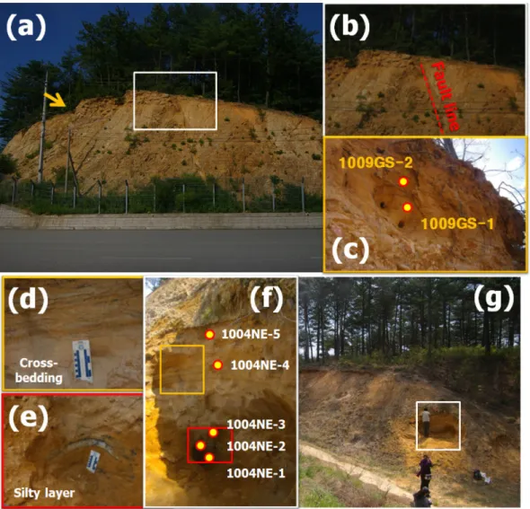 Fig. 2. Photos of sampling points. (a-c) Gusan fault, (d-g) Noeum fluvial terrace sediments.