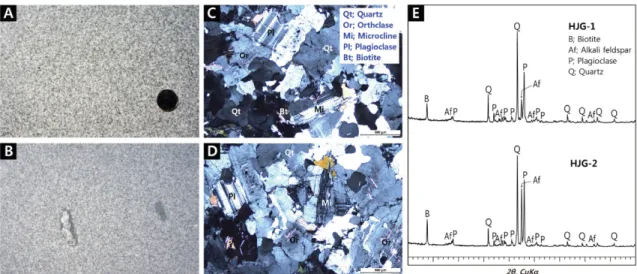 Fig. 7. Petrography of Haeju granite. (A, B) Fine-grained gray biotite granite showing a white feldspar phenocryst and hornblende assemblage