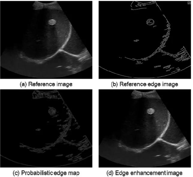 Figure 3. (a) Reference image (b) Reference edge image (c) Probabilistic edge map (d) Edge enhancement image