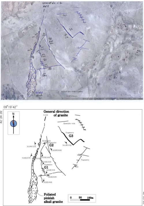 Fig. 10. Structural analysis on the satellite image (from Google) of the central part of the central gabbro body, southern part of Gebi Gebo area in Harar-Jijiga region, NE Ethiopia