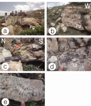 Fig. 12. Pegmatites developed in the central gabbro body, southern part of Gebi Gebo area in Harar-Jijiga region, NE Ethiopia