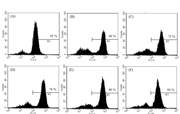 Fig. 4. Effect of  Sambucus williamsii  var.  coreana  (SWC) extracts on mitochondrial membrane potential in Chang cells