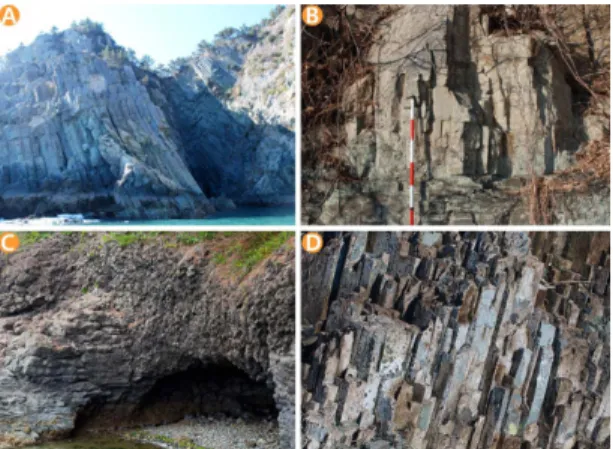 Fig. 14. Inclined columnar joint of the Sangju, Nam- Nam-hae-gun (A), Lower margin of columnar joint at the Gosung-gun (B), horizontal columnar joint at the  Pal-rangpo, Geoje-gun (C) and vertical columnar joint at the Saryangdo island, Tongyoung city (D).