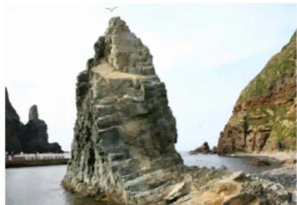 Fig. 6. Horizontal columnar joint at Dokdo (so called Sutdolbawi).