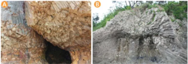 Fig. 11. Distribution of columnar joint at the western and southern coast area.