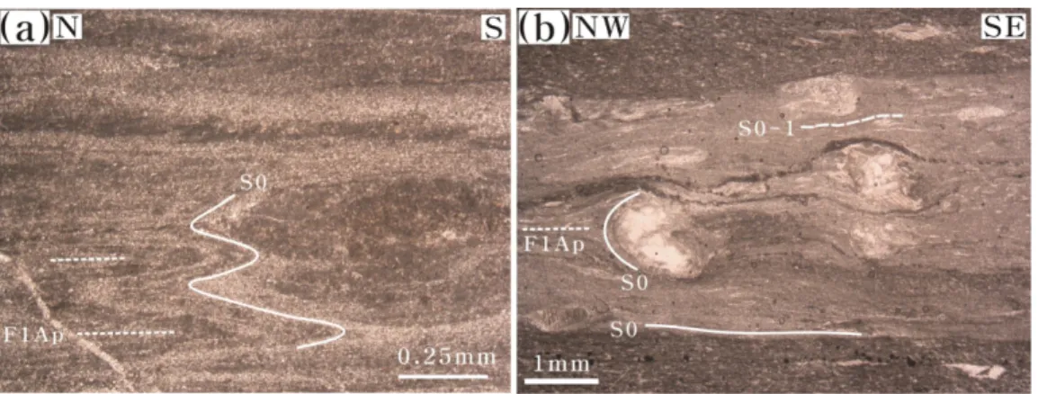 Fig. 5. (a) Orientation of structural elements related to D1 deformation and stereoplots (lower-hemisphere equal-area projection) of (b) ploes (p) to S0-1 or S1 foliation (n=111 and contours at 1.5-3-4.5-6% of area), and (c) L1 stretching lineation on S0-1