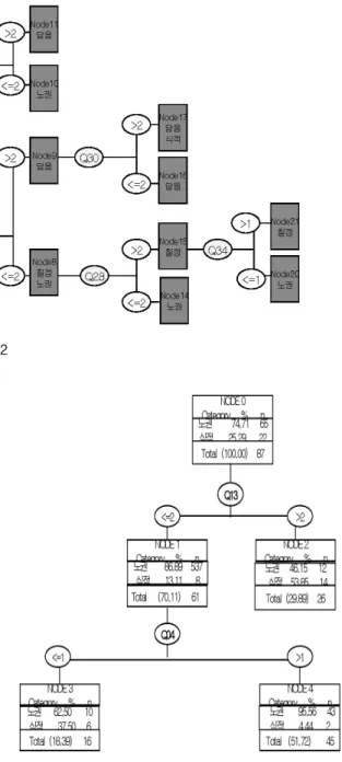 Fig. 4. Pathogenesis classification of NoKwon and SikJeok using Decision Tree