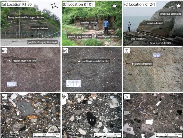 Fig. 2. (a) Outcrop of the NKT at locality KT 50, consisting of massive division (MD) and overlying stratified upper division (SUD)
