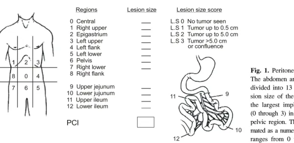 Fig.  1.  Peritoneal  cancer  index. 