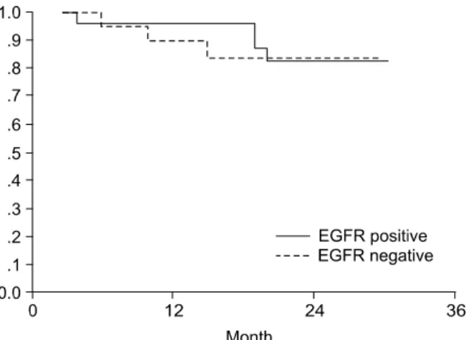 Fig.  2.  Survival  analysis  by  Kaplan-Meier  method.