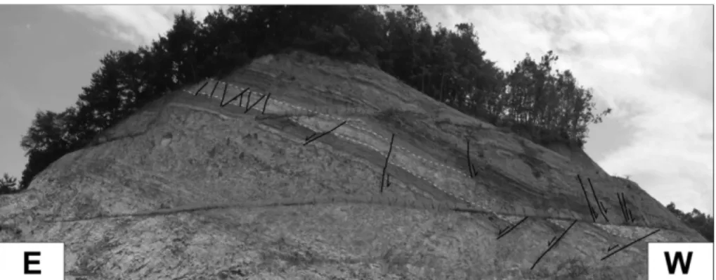 Fig. 9. Stereographic contoured π-diagrams (lower hemisphere, equal-area projection) showing the altered attitudes of conjugate normal faults in the basin-fills after tilt correction