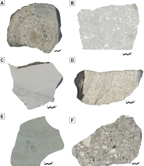 Fig. 10. Representative rock slabs of (A and B) the dacitic tuff and (C) tuffaceous mudstone in the Ipcheon Subbasin, (D) the dacitic tuff and (E) tuffaceous mudstone from the Yongdongri Tuffs in the Waup Basin, and the dacitic tuff from the Paljori Tuffs 