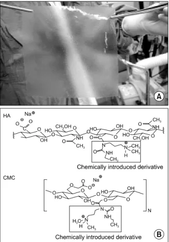 Fig.  1.  Hyaluronate  membrane,  (A)  Sterile,  bioresorbable  translucent  membrane