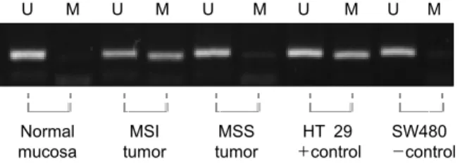 Fig.  5.  The  expression  of  MLH1  (A  and  B)  and  MSH2  (C  and  D)  was  deter Avidin-Biotin-Peroxidase  method