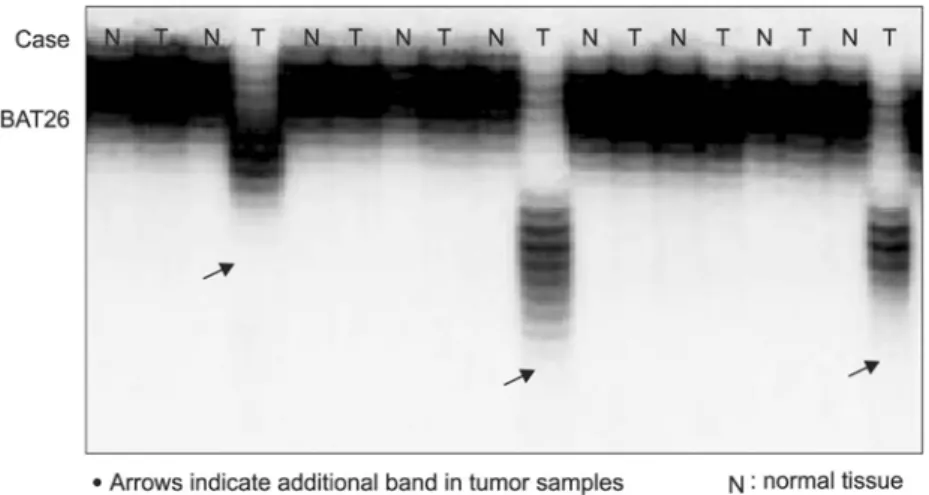 Fig.  1.  Example  of  MSI  analysis  at  BAT26.