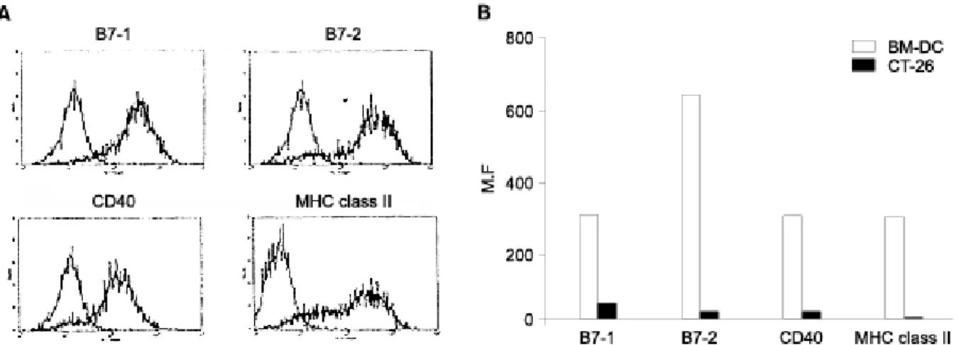 Fig.  1.  Phenotypic  analysis  of  DCs  and  CT-26.  (A)  Dendritic  cells  were  generated  from  bone  marrow  cells  of  female  BALB/c  mice  using  GM-CSF  and  IL-4