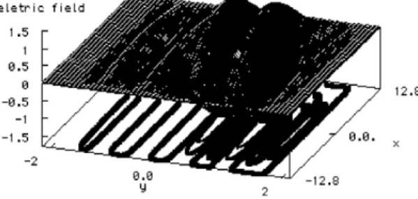 Fig.  6  Electric  field  distribution  by  TS-FVTD.