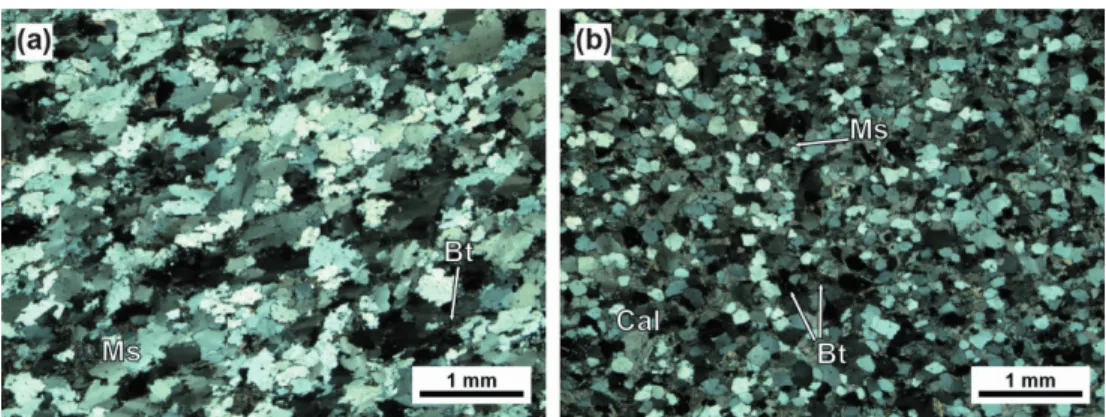 Fig. 4. Cathodoluminescence images of zircon from (a) sample YH03, and (b) sample YH06