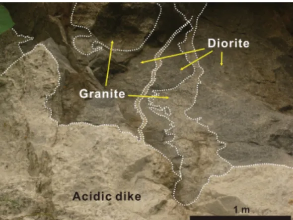 Fig. 3. Photomicrographs showing mineral assemblages of the Cheongju granitoids: (a) diorite (CJ1; plane- plane-polarized light), (b) biotite granite (CJ2; cross-plane-polarized light), (c) acidic dike (CJ3; plane-plane-polarized light) and (d) porphyritic