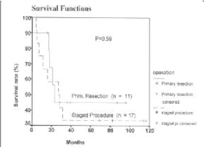 Table 5. Distribution of cell differentiation