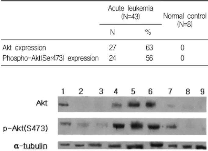 Fig.  1.  Expression  of  Akt  and  phospho-Akt  (Ser473)  in  leu- leu-kemic  cells.  Samples  loaded  from  No.1  to  No.7  are  acute  leukemic  cells