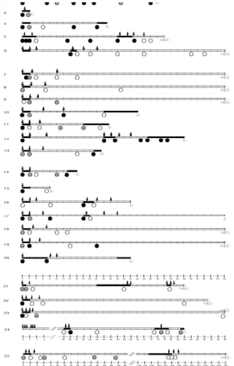 Fig.  3. The  results  of  RT-PCR  study  for  25  AML-M2  patients  with  AML1/ETO  fusion  transcripts
