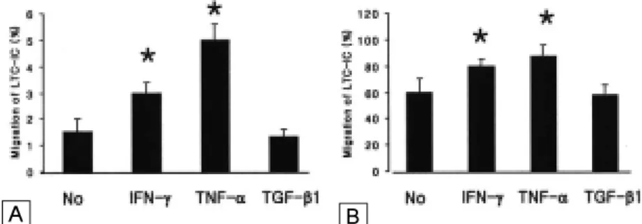 Fig.  3.  Transendothelial  migration  of  cytokin-treated  CD34＋ 