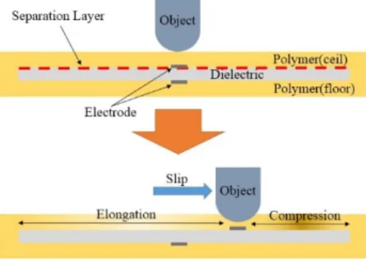 Fig. 1. Working principle of sensor