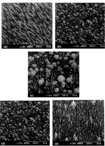 Fig. 4. SEM images of the carbon whiskers for varied CH 4 concentrations: (a) CH 4 = 1% (b) CH 4 = 5% at I b