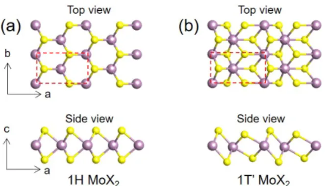 Fig. 1. (Color online) Top and side views of atomic struc- struc-ture of 1H (a) and 1T′ (b) MoX2 (X=S, Te), where X denotes the chalcogen atom