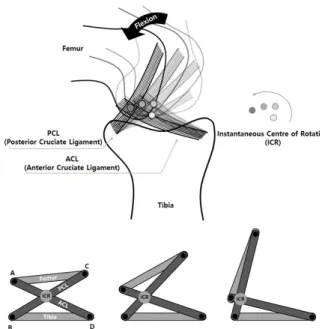 Fig. 2. Instantaneous Centre of Rotation &amp; Four-bar Linkage  Formed of the Knee