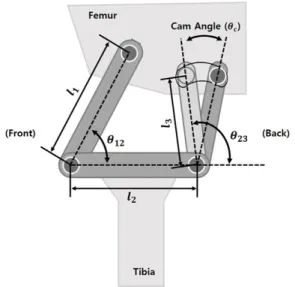 Fig. 5. Goal of the Knee Mechanism in Stance/Swing Phase
