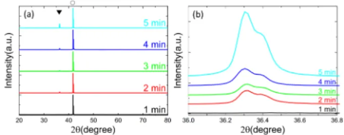Fig. 2. (Color online) Low magnification SEM results of Cu 2 O films oxidized at 800 ◦ C for a different duration time from 1 min to 30 min.