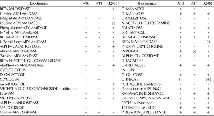 Table 1. Analysis enzymatic activity from the selected useful strains using VITEK 2 gram-negative identification card (BCL).