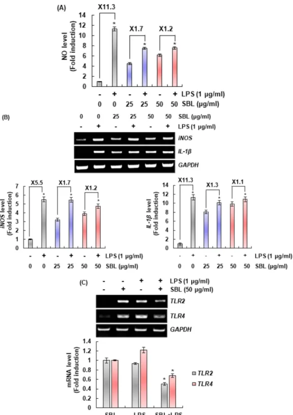 Fig. 6. Anti-inflammatory activity of SBL in LPS-stimulated RAW264.7 cells. RAW264.7 cells were pre-treated with SBL for 4 h and then co-treated with PBS or LPS for 20 h